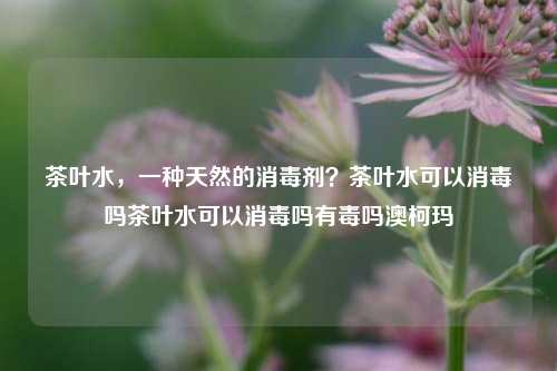 茶叶水，一种天然的消毒剂？茶叶水可以消毒吗茶叶水可以消毒吗有毒吗澳柯玛