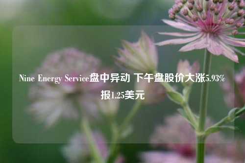 Nine Energy Service盘中异动 下午盘股价大涨5.93%报1.25美元