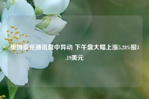 康姆泰克通讯盘中异动 下午盘大幅上涨5.28%报3.19美元