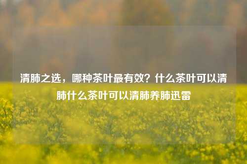 清肺之选，哪种茶叶最有效？什么茶叶可以清肺什么茶叶可以清肺养肺迅雷