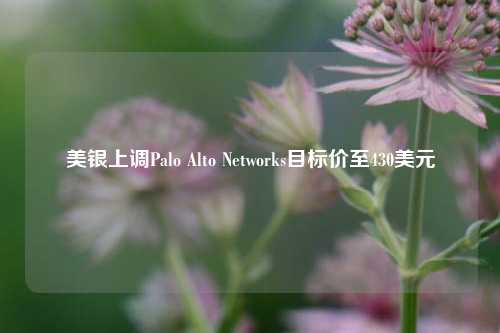 美银上调Palo Alto Networks目标价至430美元