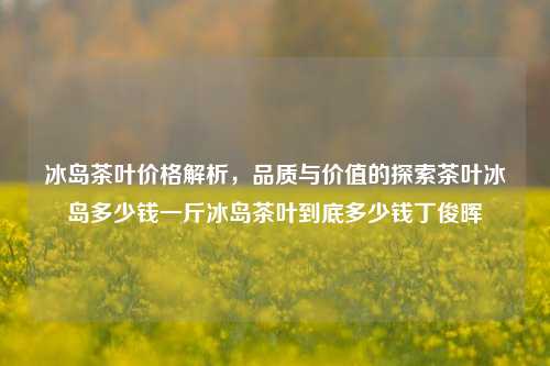 冰岛茶叶价格解析，品质与价值的探索茶叶冰岛多少钱一斤冰岛茶叶到底多少钱丁俊晖