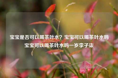 宝宝是否可以喝茶叶水？宝宝可以喝茶叶水吗宝宝可以喝茶叶水吗一岁李子柒