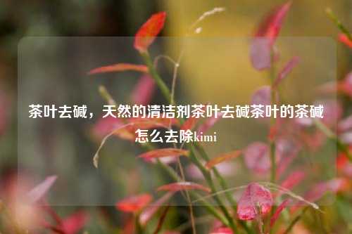 茶叶去碱，天然的清洁剂茶叶去碱茶叶的茶碱怎么去除kimi