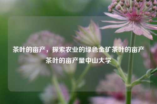 茶叶的亩产，探索农业的绿色金矿茶叶的亩产茶叶的亩产量中山大学