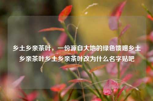 乡土乡亲茶叶，一份源自大地的绿色馈赠乡土乡亲茶叶乡土乡亲茶叶改为什么名字贴吧