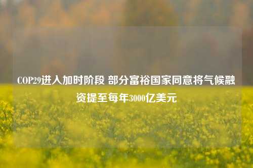 COP29进入加时阶段 部分富裕国家同意将气候融资提至每年3000亿美元