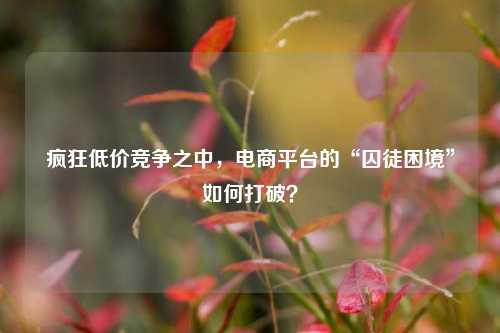 疯狂低价竞争之中，电商平台的“囚徒困境”如何打破？