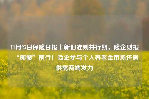 11月25日保险日报丨新旧准则并行期，险企财报“颠簸”前行！险企参与个人养老金市场还需供需两端发力