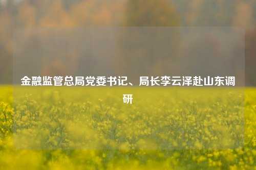 金融监管总局党委书记、局长李云泽赴山东调研