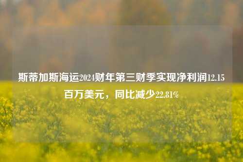 斯蒂加斯海运2024财年第三财季实现净利润12.15百万美元，同比减少22.81%