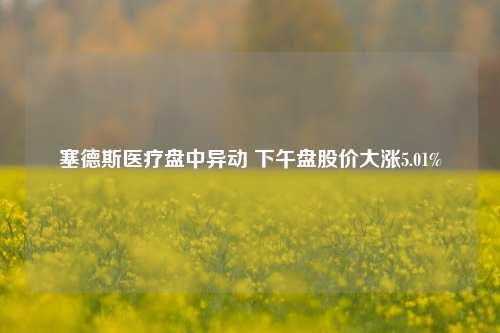 塞德斯医疗盘中异动 下午盘股价大涨5.01%