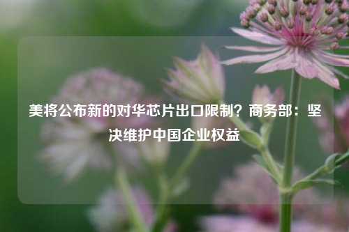 美将公布新的对华芯片出口限制？商务部：坚决维护中国企业权益