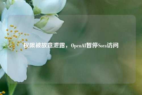 权限被故意泄露，OpenAI暂停Sora访问