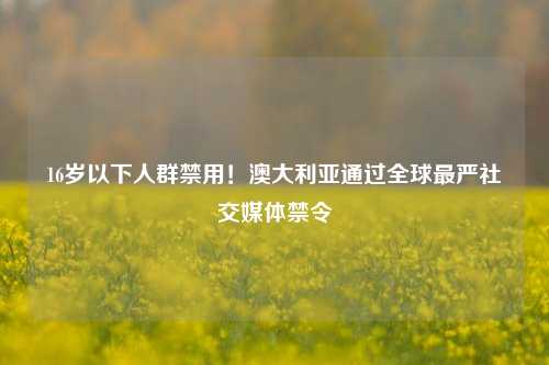 16岁以下人群禁用！澳大利亚通过全球最严社交媒体禁令