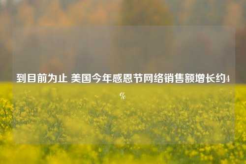 到目前为止 美国今年感恩节网络销售额增长约4%