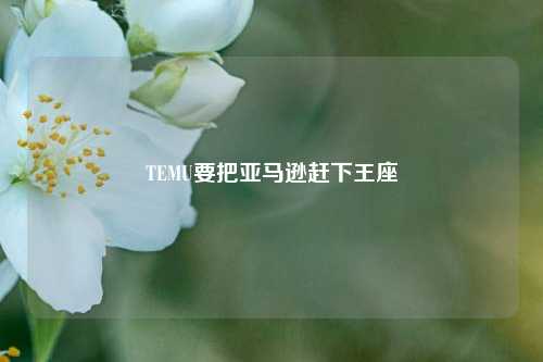 TEMU要把亚马逊赶下王座