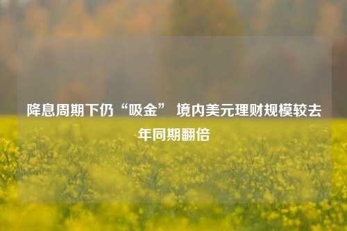 降息周期下仍“吸金” 境内美元理财规模较去年同期翻倍